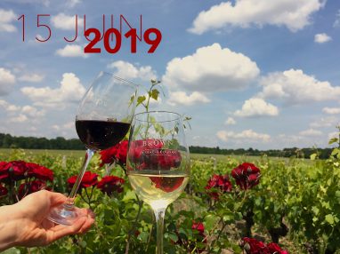 Brown Estivales 2019 Verres et vignoble