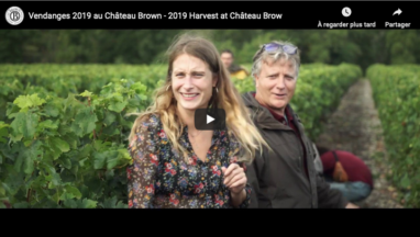Vendanges-2019