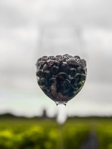Verre de raisons Brown