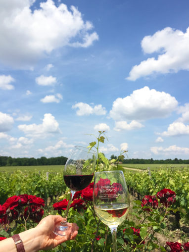 Brown-Tchin-Summer