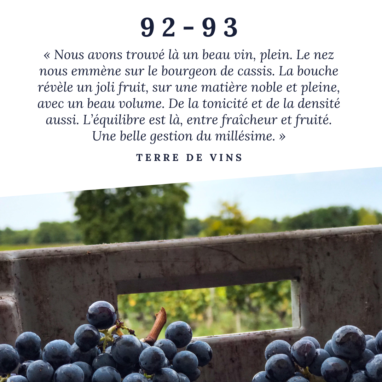 TERRE DE VIN ROUGE
