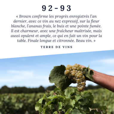 TERRE DE VINS BLANC