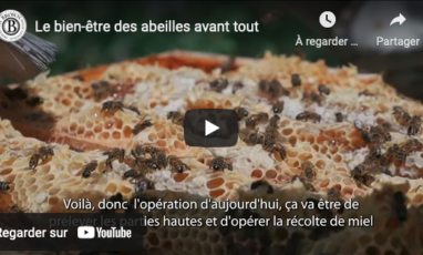 Bien être des abeilles