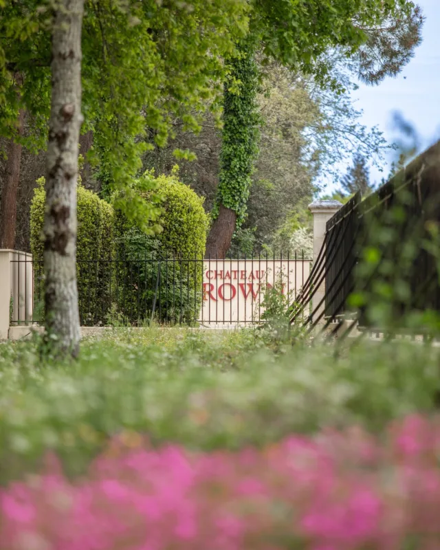 Découvrez l’univers du Château Brown ! ✨
 
Saviez-vous que notre boutique est ouverte pour vous faire découvrir nos vins directement au domaine ?
 
C’est avec plaisir que Rozenn et Odile vous accueillent pour vous faire déguster nos grands vins rouges et blancs gratuitement. 🍷
Et pour une expérience encore plus immersive, laissez-vous tenter par une visite sur réservation ! 🏰

Plongez dans l’histoire du Château Brown, découvrez les secrets de l’élaboration de nos vins et terminez par une dégustation de nos cuvées dans un cadre authentique.

 📍 Rendez-vous au Château Brown pour un moment de partage et de découverte !
🔔 Infos & réservations : Du lundi au vendredi de 8h00 à 12h00 & de 13h30 à 16h30. contact@chateau-brown.com

📷 @lukecarverphoto
#ChâteauBrown #VisiteDégustation #PessacLéognan #vinsdebordeaux