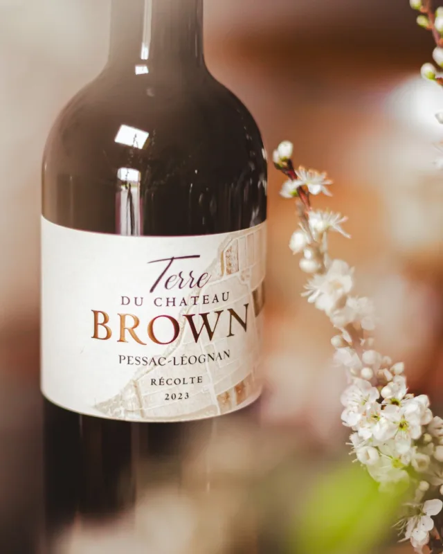 Nouvelle cuvée au Château BROWN ✨
 
L’équipe du Château BROWN est fière de vous dévoiler son nouveau vin rouge : Terre du Château BROWN 🌿
 
Elevé en amphores, ce vin se distingue par son fruité intense, son croquant et son accessibilité dès sa jeunesse.
 
Terre du Château BROWN prend le pari de répondre aux nouvelles aspirations des amateurs de vin, en quête de vins frais et moins boisés.
Un vin de plaisir pour des moments de plaisir, tout simplement !
 
Et pour célébrer cette nouveauté, nous vous invitons à une dégustation exclusive le Vendredi 11 avril, de 10h à 17h !
📍 Rendez-vous au Château Brown – Entrée libre et dégustation gratuite
 
📷 @lukecarverphoto
#TerreDeBrown #ChâteauBrown #NouveauVin #Dégustation